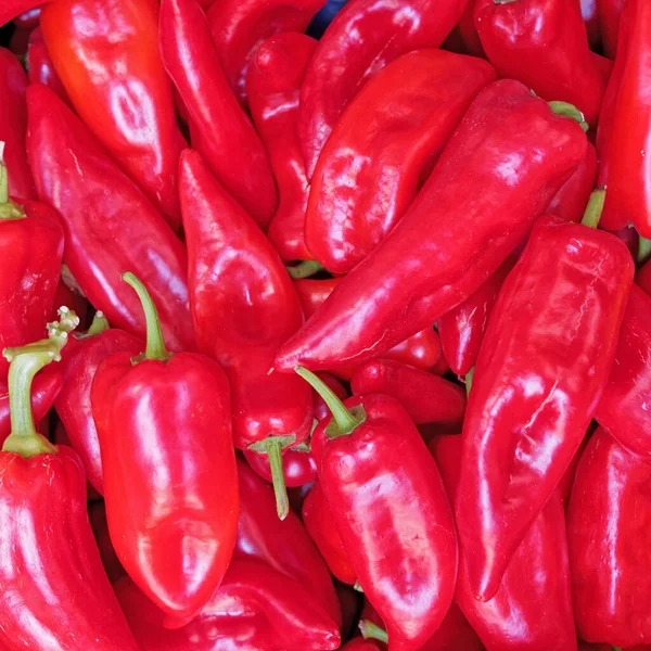 Red Horn Peppers Close Top View Colorful Vegetarian Background — Stock Photo, Image