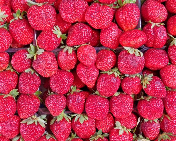 新鲜的生草莓顶部视图关闭 红色水果背景 — 图库照片