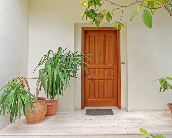 Przytulne Wejście Dom Solidne Drewniane Drzwi Doniczki — Zdjęcie stockowe