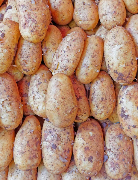 Potatis Närbild Ovanifrån Ekologisk Vegetarisk Mat Bakgrund — Stockfoto