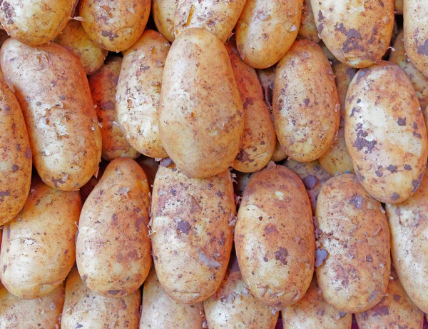 Batatas Cruas Close Vista Superior Fundo Comida Vegetariana Orgânica — Fotografia de Stock