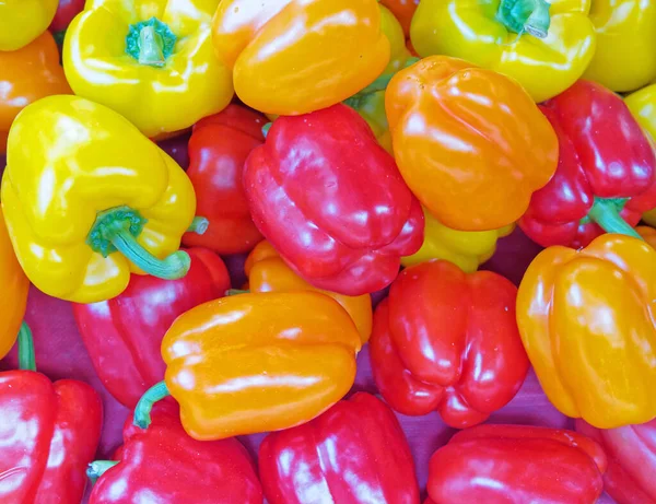 Mixed Colors Bell Peppers Close Top View Organic Food Background — Stock Photo, Image