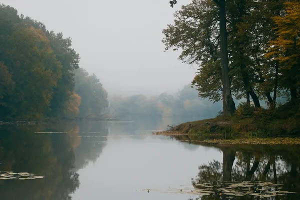 Little Desolate Natural Lake Early Misty Autumn Morning Old Linden — Stock Photo, Image