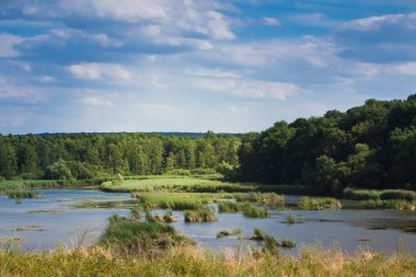 Geniş ve sığ nehir, hızlı akışı ve kamış bitkilerinden oluşan adalar, arka planda yaprak döken ve kozalaklı orman, küçük bulutlar, ışık ve gölgelerle dolu güneşli bir yaz günü.