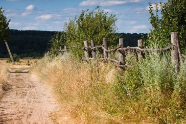 dirt road or field road covered with dust and tyre tracks, ancient wooden fence before a countryside garden, rich weeds and dramatic shadow on a nearby forest, windy summer weather