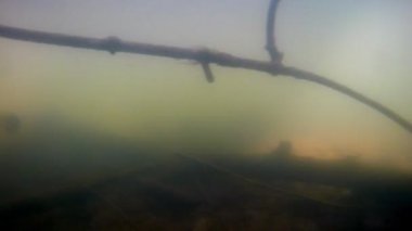 Güneş ışınları, hızlı akarsudaki çamurlu sularda dallarla sürüklenir. Çamurda görünen bitkiler yok, balık yok, tahrip edici insan etkileri var.