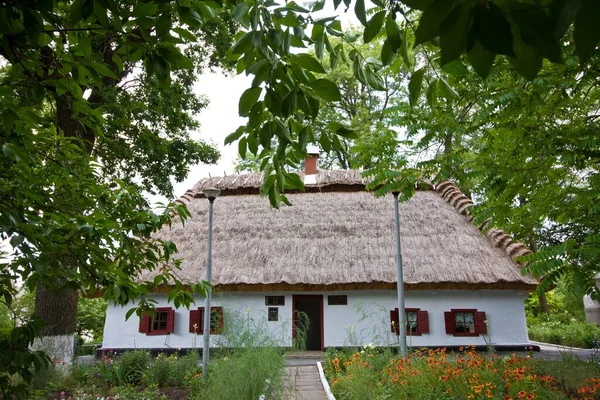 Zabolotne Oekraïne 2018 Traditioneel Oud Houten Huis Met Rieten Dak — Stockfoto