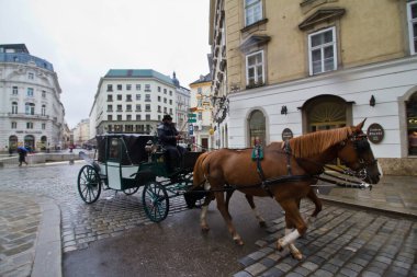 Viyana, Avusturya - 05.05.2019: Antik giysiler içindeki arabacı, yağmurdan kaçan iki atlı, Innere Stadt, Hofburg İmparatorluk Sarayı 'nda geleneksel kraliyet nakliyesi.