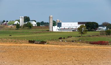 Vintage çiftlik ekipmanları ile Amish çiftlik