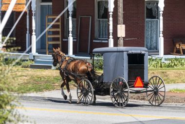 Amish at ve Buggy güneşli bir yaz günü 2