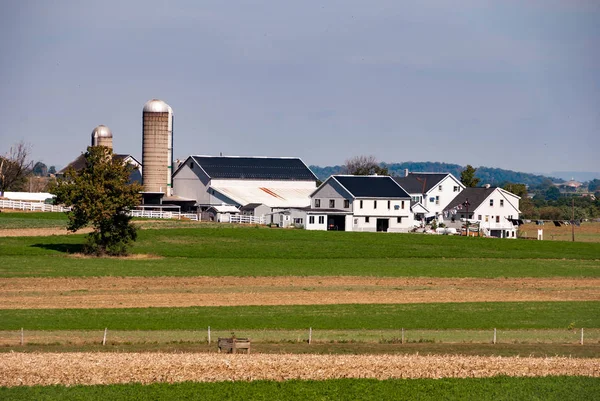 Granja Amish en el soleado día sin nubes —  Fotos de Stock