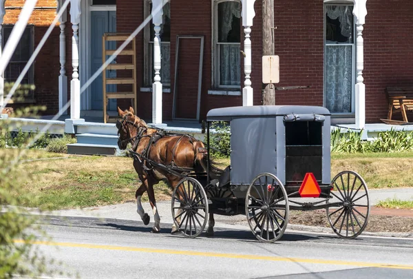 Amish Horse and Buggy on a Sunny Summer Day 2 — Stock Photo, Image