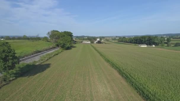 Widok Lotu Ptaka Zbliżenie Terenów Zielonych Farm Rolnych Przy Torach — Wideo stockowe