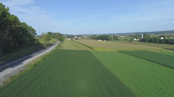 Vista Aérea Primer Plano Las Tierras Agrícolas Verdes Junto Una — Vídeos de Stock