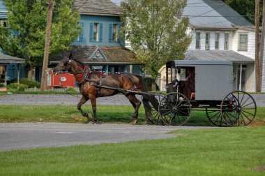 Amish Atı ve At Arabası Bir Yaz Günü Taşra Dükkanına Koşar