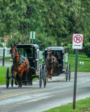 2 Amish Atı ve At Arabası Bir Yaz Günü Markete Koşuyor