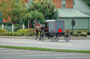 Amish Atı ve At Arabası Bir Yaz Günü Taşra Dükkanına Koşar