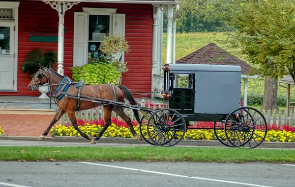 Amish Atı ve At Arabası Bir Yaz Günü Taşra Dükkanına Koşar