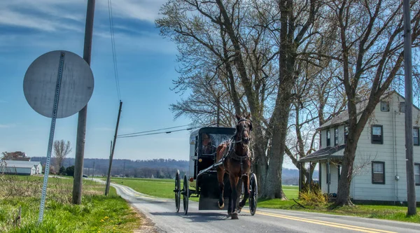 Amish Atı ve At Arabası Bir Yaz Günü Taşra Dükkanına Koşar