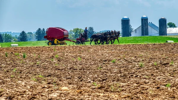 Amish Farmer använder 6 Hästar för att dra sin bensinmotor Drivs jordbruksutrustning på en solig dag — Stockfoto