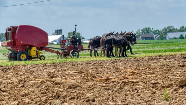 Фермер-амиш использует 6 лошадей, чтобы вытащить свое газовое оборудование с двигателем на ферме в солнечный день — стоковое фото
