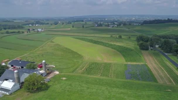 Vista Aérea Campiña Amish Con Tierras Cultivo Cultivos Soleado Día — Vídeo de stock