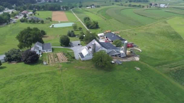Güneşli Bir Yaz Gününde Çiftliklerle Ekinlerle Birlikte Amish Kırsalının Havadan — Stok video