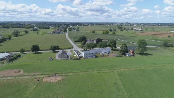 Vista Aérea Reunión Iglesia Amish Con Caballos Buggies Día Soleado — Vídeo de stock