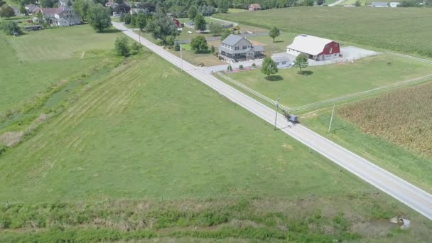 無人機に見られる夏の日のアミッシュ地方側の道路の下のアミッシュ馬とバギーに続く空中ビュー — ストック動画