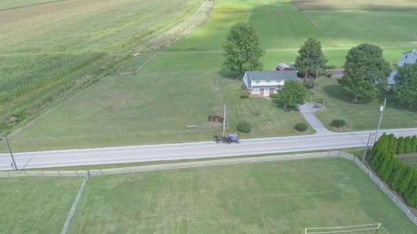 Vista Aérea Seguir Caballo Amish Buggy Por Camino Campo Amish — Vídeo de stock