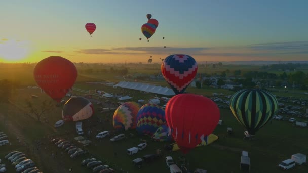 Aerial View Morning Launch Hot Air Balloons Balloon Festival Filling — Stock Video