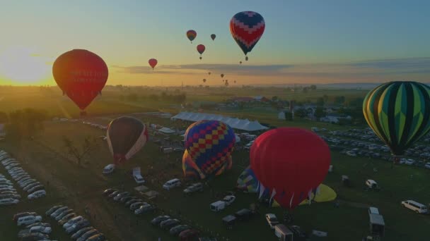 Aerial View Morning Launch Hot Air Balloons Balloon Festival Filling — Stock Video