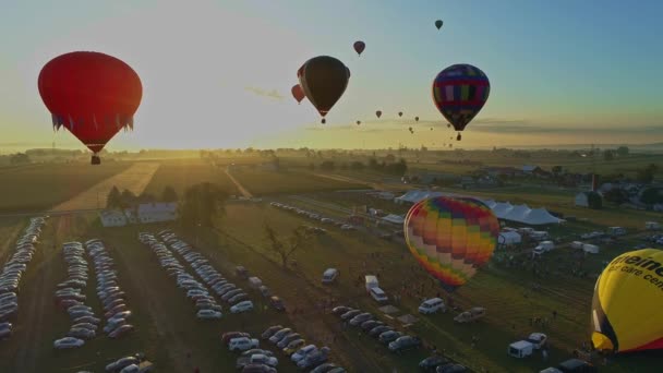 Luftaufnahme Eines Morgendlichen Starts Von Heißluftballons Bei Einem Ballonfestival Vom — Stockvideo