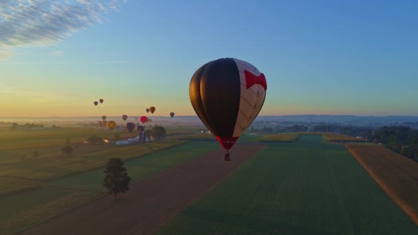 Vue Aérienne Matin Lancement Montgolfières Festival Montgolfières Remplissage Décollage Par — Video