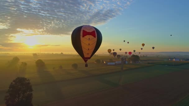 Vista Aérea Lanzamiento Matutino Globos Aire Caliente Festival Globos Desde — Vídeo de stock