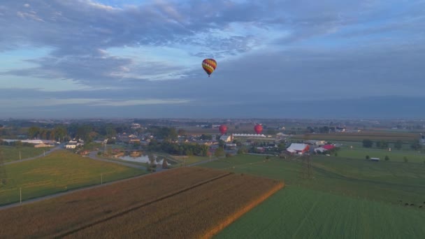 Αεροφωτογραφία Μιας Πρωινής Παρουσίασης Μπαλονιών Θερμού Αέρα Ένα Φεστιβάλ Μπαλονιών — Αρχείο Βίντεο
