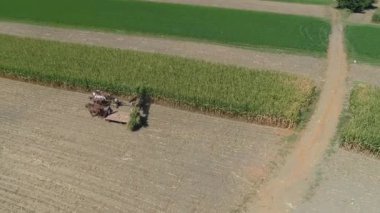 Güneşli bir sonbahar gününde mısır mahsulünü hasat eden bir Amiş Ailesi Çiftliği 'nin hava görüntüsü.