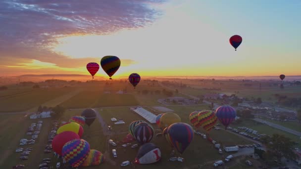 Madár Kézben Pennsylvania Szeptember 2019 Aerial View Morning Launch Hot — Stock videók