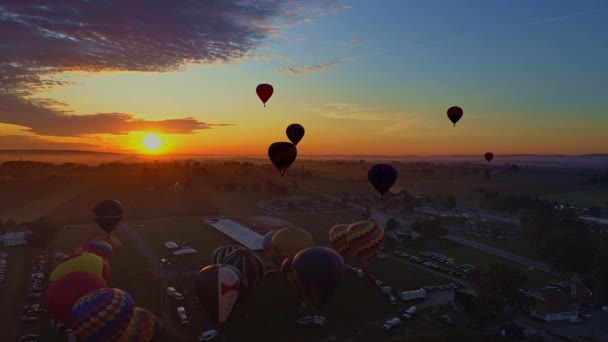 Bird Hand Pennsylvania September 2019 Flygfoto Över Morgonuppskjutning Varmluftsballonger Ballongfestival — Stockvideo