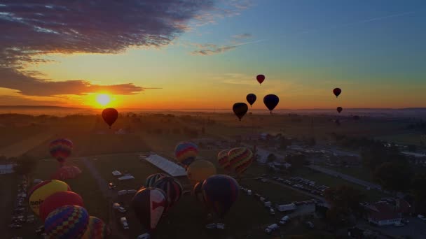 Pensilvanya Kuş Eylül 2019 Balon Festivali Nde Sabah Balonlarının Havadan — Stok video