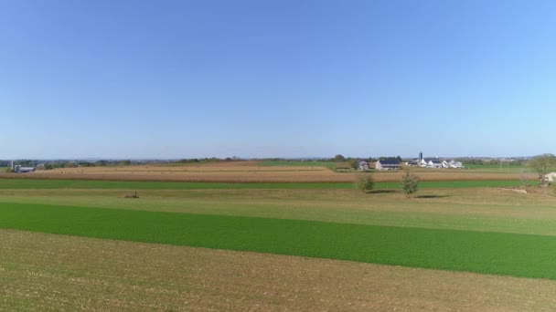 Geerntete Maisfelder Und Gerollte Maishalme Und Amische Bauernhöfe Einem Sonnigen — Stockvideo