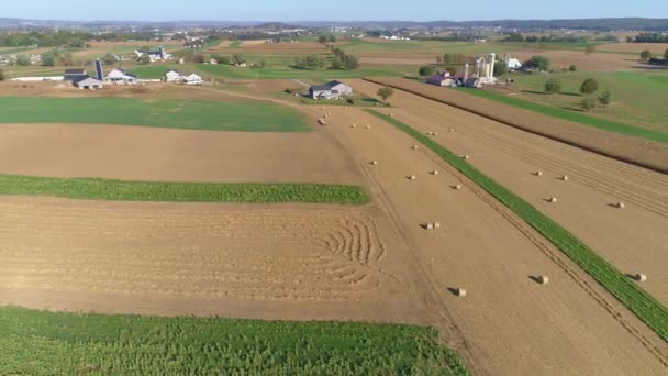 Innhøstet Maisåkre Valset Maisstengler Amishgårdsstaker Solskinnsdag Som Sett Drone – stockvideo