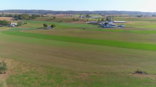 Harvested Corn Fields Rolled Corn Stalks Amish Farm Steads One — Stock Video