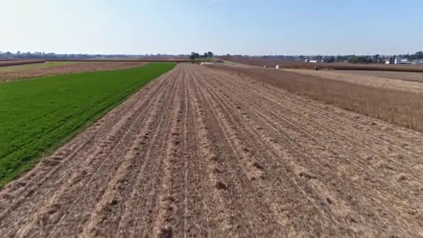 Drone Flight Agricultural Fields Wheat Fields Being Harvested Blue Skies — Stock Video