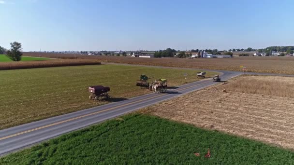 Let Dronem Nad Zemědělskými Poli Pšeničnými Poli Sklízený Amišským Zemědělcem — Stock video