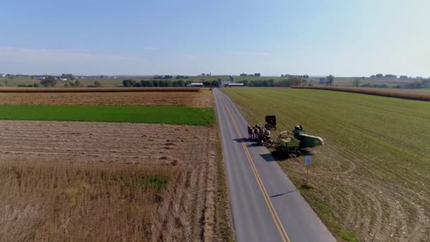 Drone Flight Över Jordbruksmark Och Vetefält Skördas Amish Farmer Och — Stockvideo