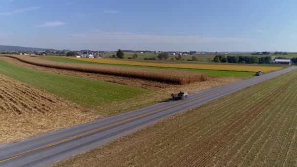 Drone Volo Campi Agricoli Avvicinarsi Amish Cavallo Buggy Con Cielo — Video Stock