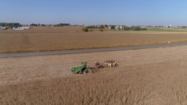 Drone Flight Agricultural Fields Wheat Fields Being Harvested Amish Farmer — Stock Video