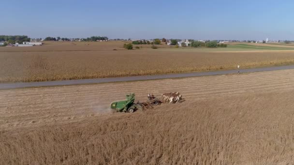 Drohnenflug Über Landwirtschaftlichen Feldern Und Weizenfeldern Die Von Amischen Bauern — Stockvideo