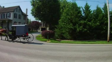 Amish Atı ve At Arabası İkamet Yolu boyunca yürüyor